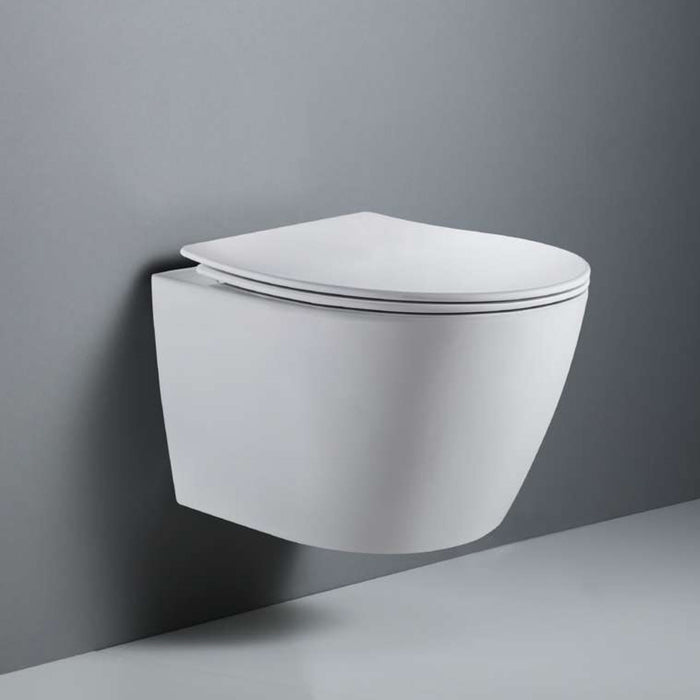 WHT-C1 Wall Hung Toilet Set Includes Toilet, Water Tank & Wall Panel