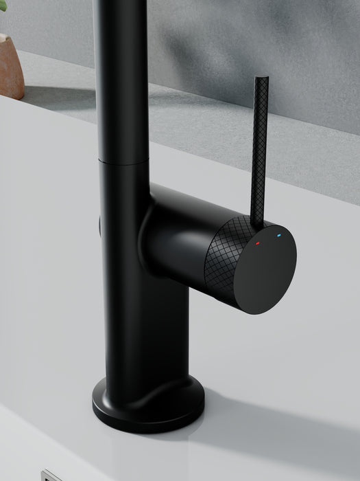 New Style Main Sink & Bar Sink Faucet (F23A96)