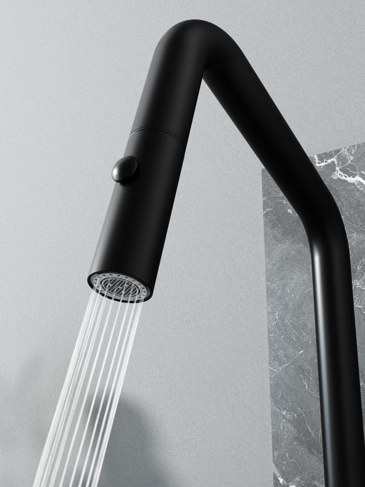 New Style Main Sink & Bar Sink Faucet (F23A96)