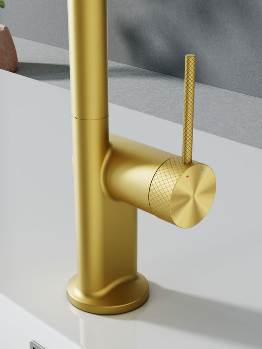 New Style Main Sink & Bar Sink Faucet (F23A96)