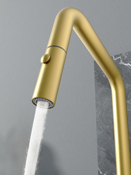 New Style Main Sink & Bar Sink Faucet (F23A96)