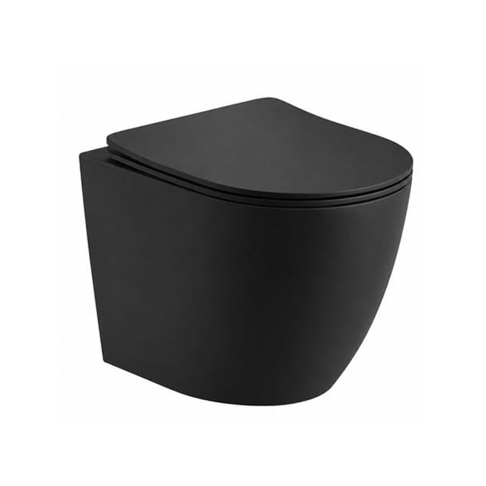 Wall Hung Toilet Set Includes Toilet, Water Tank & Wall Panel