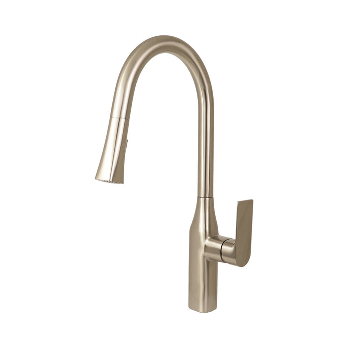 TIMELYSS Pull-down Dual Spray Kitchen Faucet - F23134