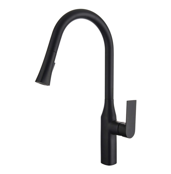 TIMELYSS Pull-down Dual Spray Kitchen Faucet - F23134