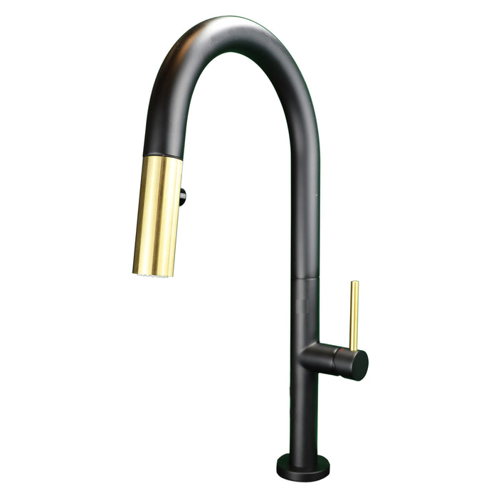 ELEGANTE Pull-down Dual Spray Kitchen Faucet - F23304