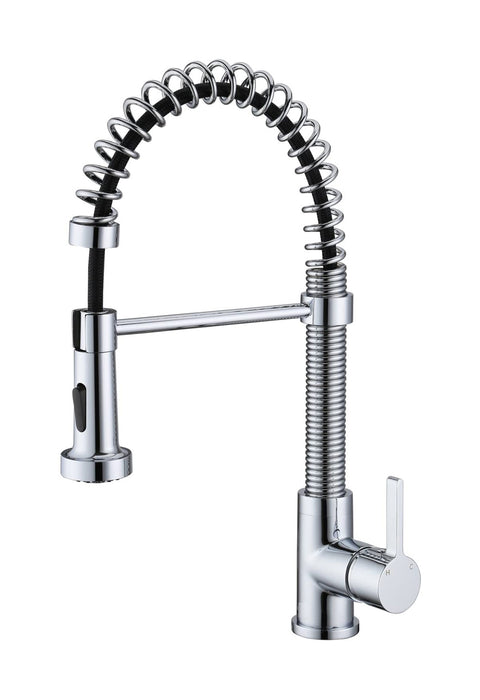 EDISON Pull-out Dual Spray Kitchen Faucet - F25133